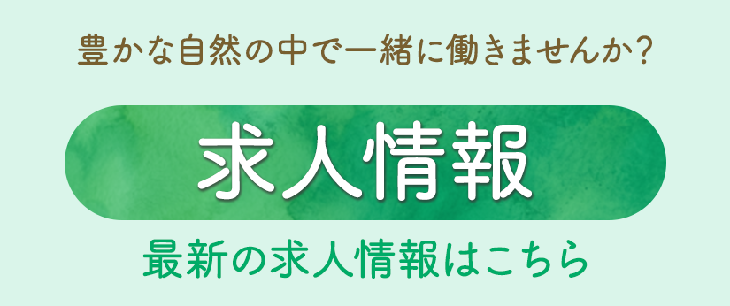 最新の求人情報はこちら